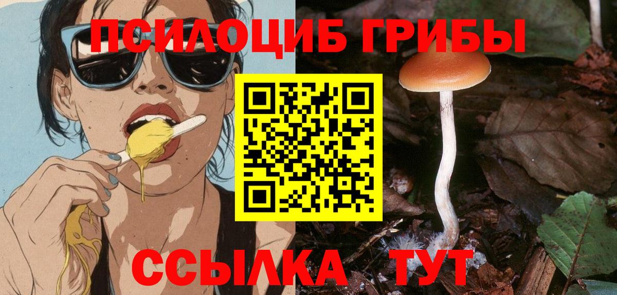 Строитель  Галлюциногенные грибы ЛСД  Вход с VPN 