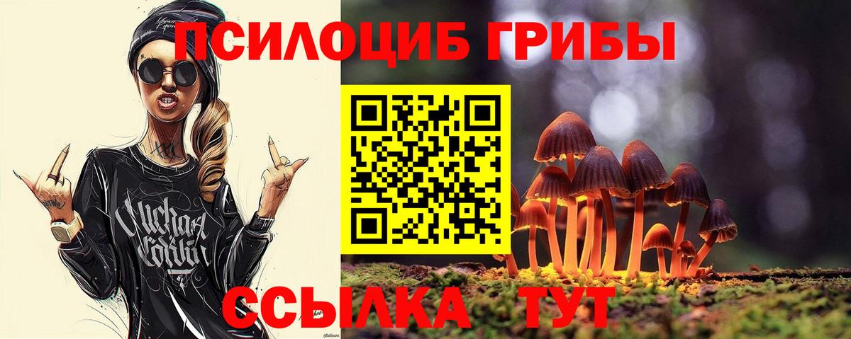 Галлюциногенные грибы Psilocybine cubensis Строитель